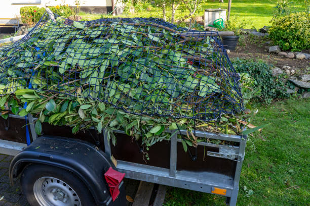 Best Carpet Removal and Disposal  in Iowa City, IA